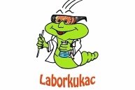 Laborkukac Diákvetélkedőre lehet jelentkezni