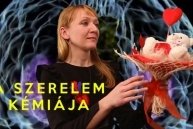 Sapiophile: A szerelem kémiája