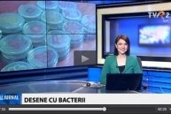 Fessünk mikrobákkal! a TVR2 esti hírműsorában