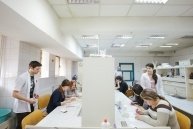 II. Fessünk mikrobákkal! - beszámoló a laboraktivitásról