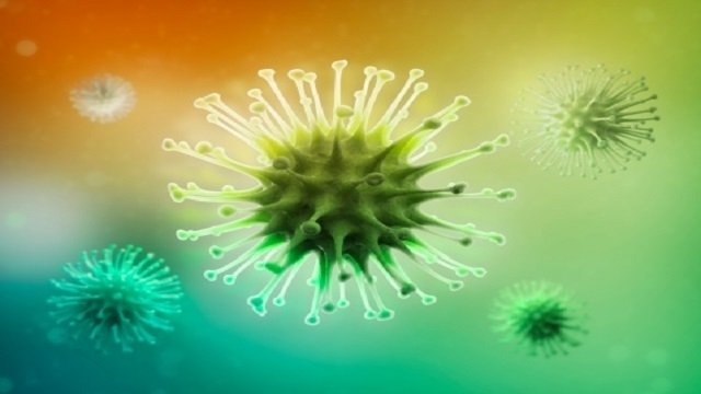 Növényvirológiai és növénybiotechnológiai előadások a Marosvásárhelyi Karon