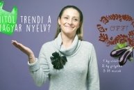 Sapiophile: így ünnepeljük a magyar nyelv napját