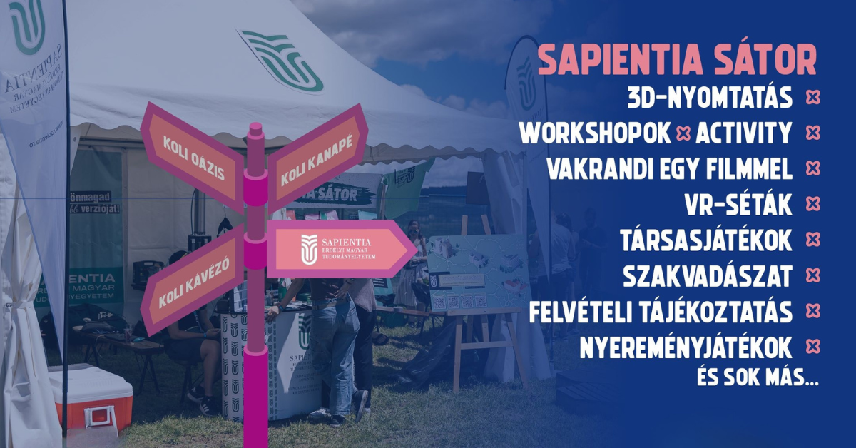SapExperience 2025 – vom fi prezenți la VIBE Festival